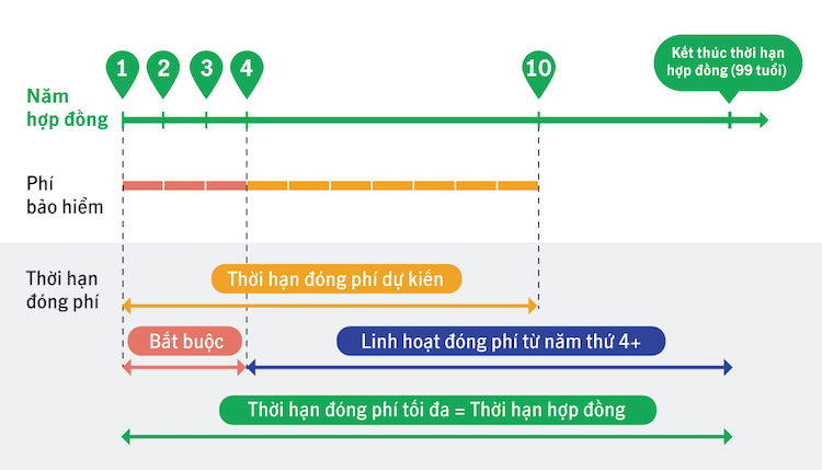 nên mua bảo hiểm nhân thọ nào