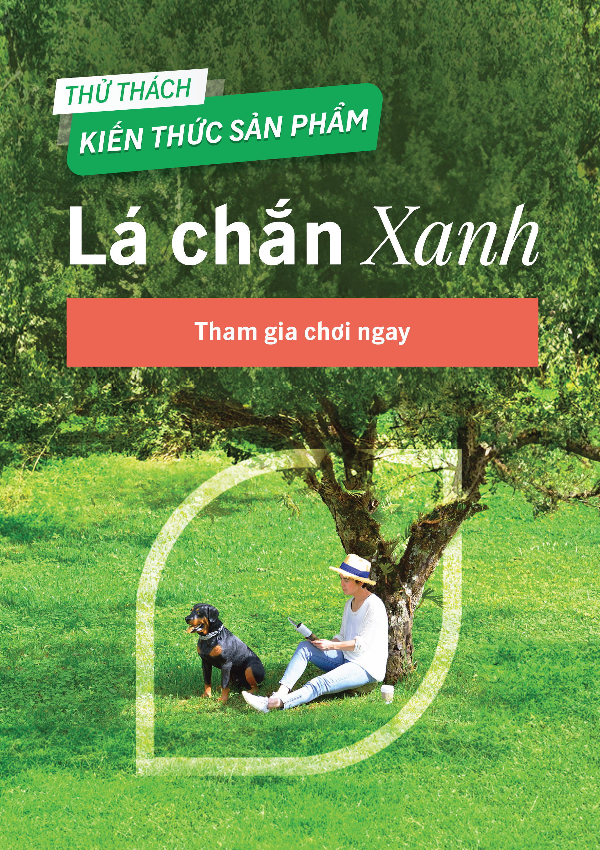 quiz-la-chan-xanh
