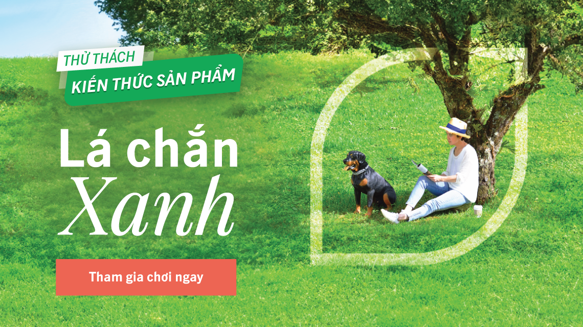 quiz-la-chan-xanh