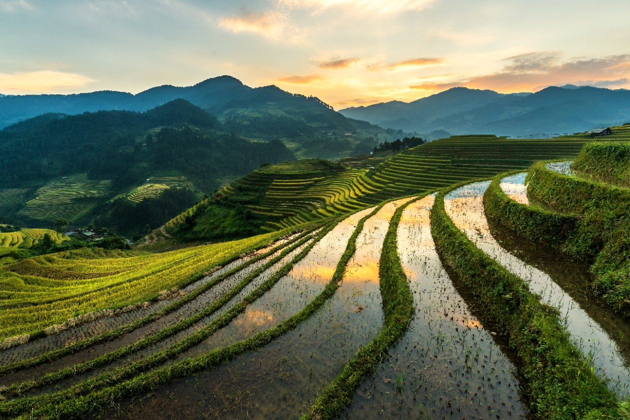 Chương trình Bước Đến Hạnh Phúc