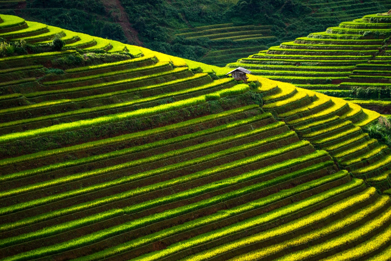 Chương trình Bước Đến Hạnh Phúc