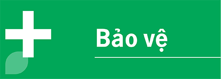 1_BaoVe