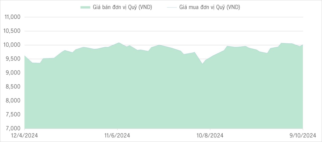 Qũy bảo toàn 6m
