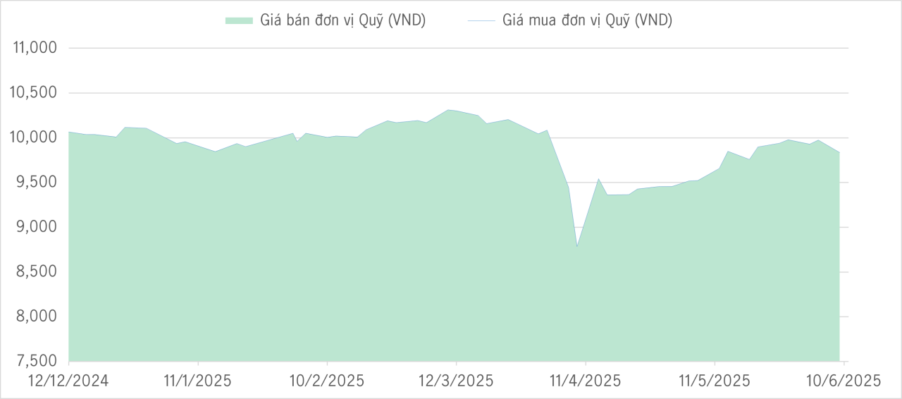Qũy bảo toàn 6m