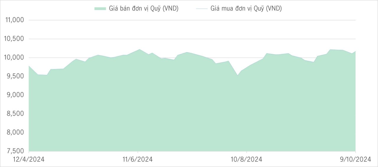Qũy bảo toàn 6m