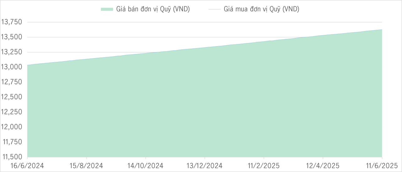 Qũy bảo toàn 1Y