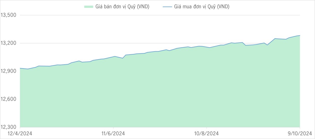 Qũy bảo toàn 6m