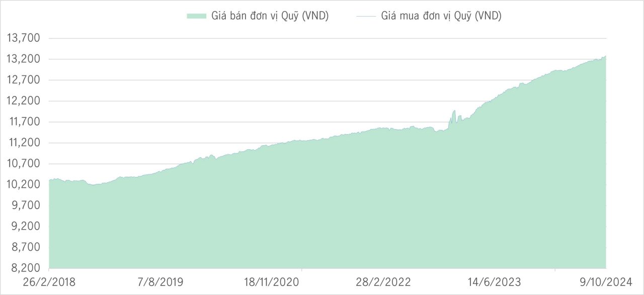 Qũy bảo toàn YTD