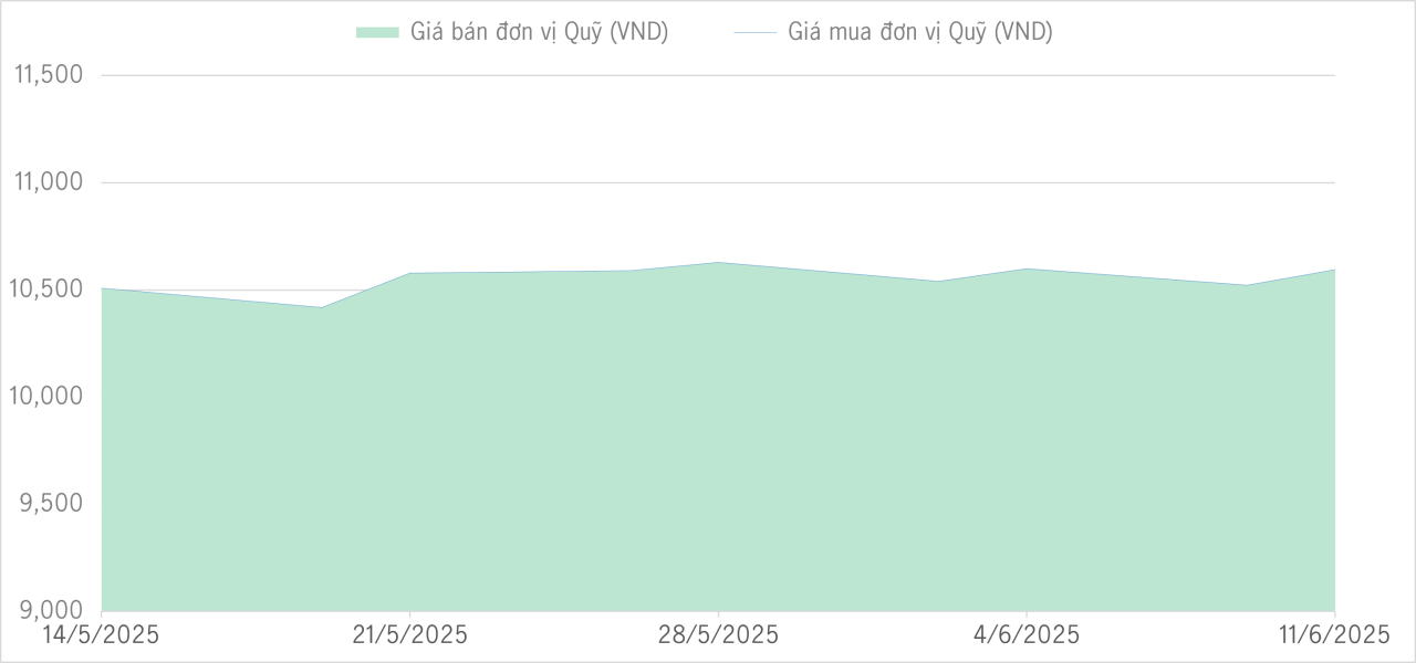 Qũy bảo toàn 1m