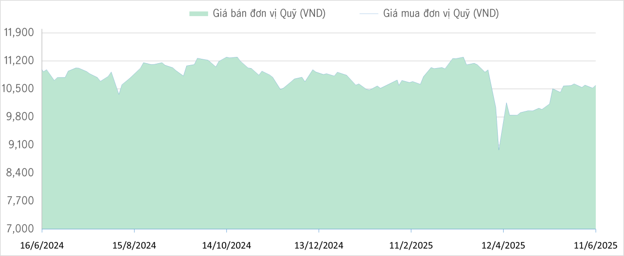 Qũy bảo toàn 1Y