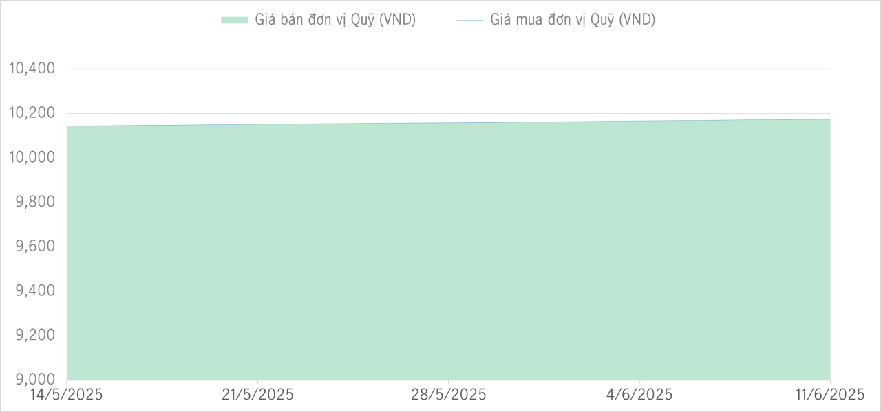 Qũy bảo toàn 1m