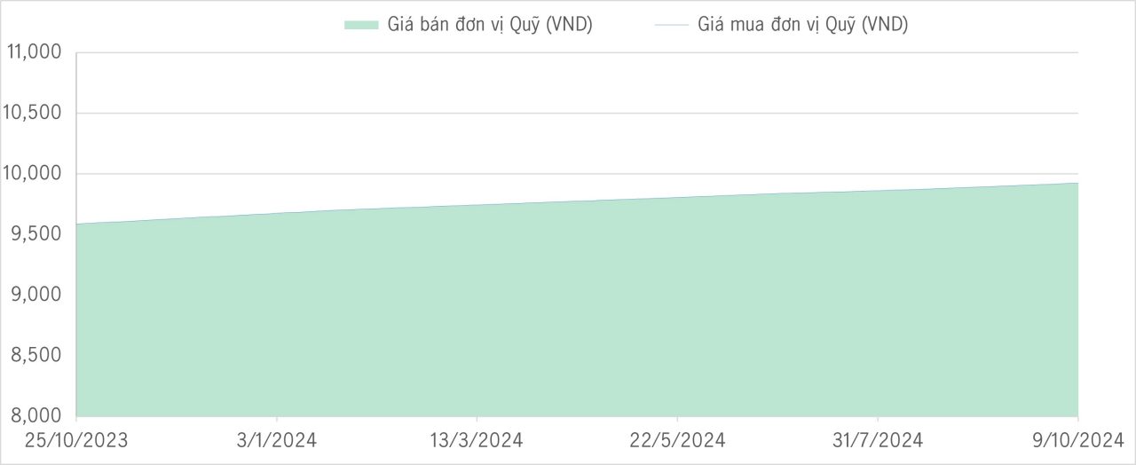 Qũy bảo toàn 1Y