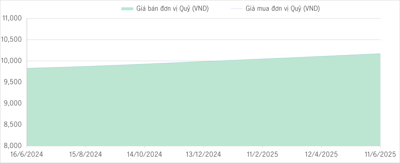 Qũy bảo toàn 1Y