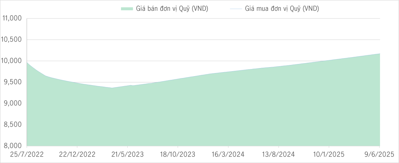 Qũy bảo toàn YTD
