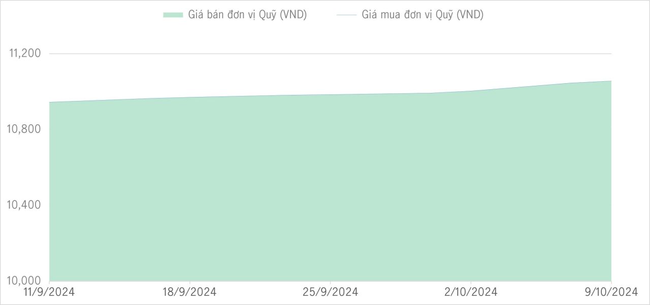 Qũy bảo toàn 1m