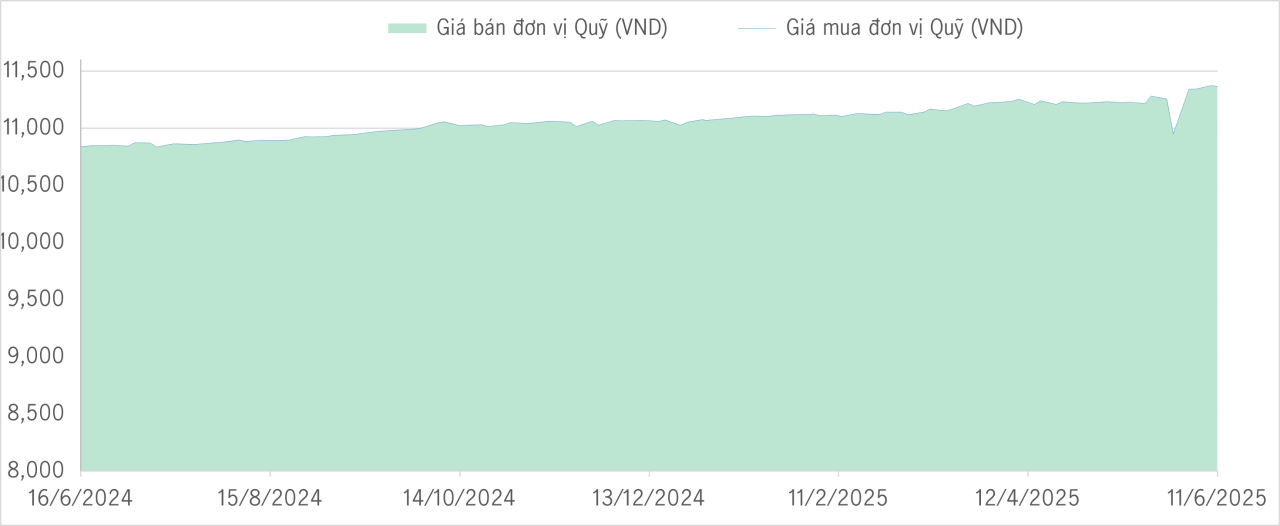 Qũy bảo toàn 1Y