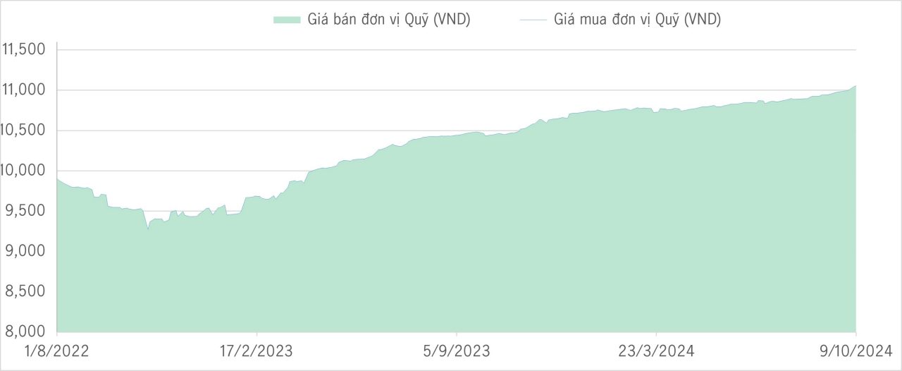 Qũy bảo toàn YTD