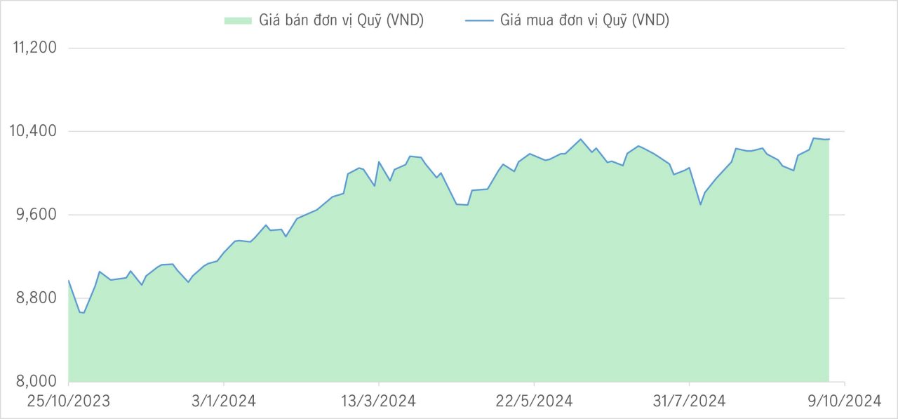 Qũy bảo toàn 1Y