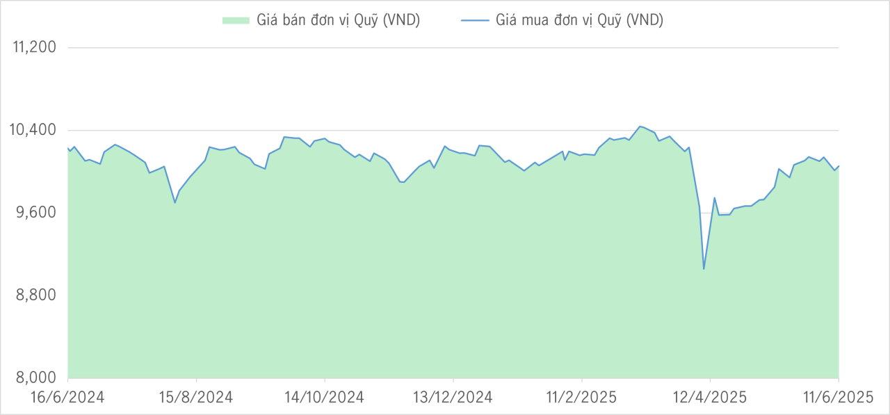 Qũy bảo toàn 1Y