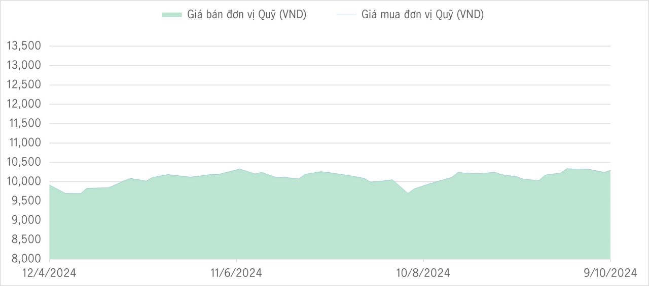 Qũy bảo toàn 6m