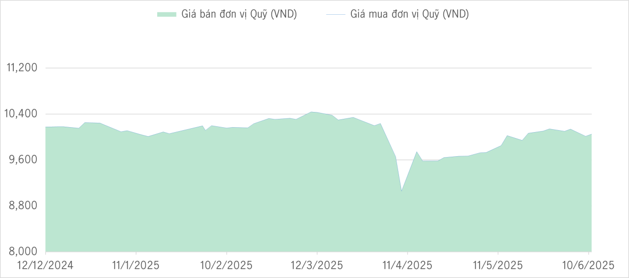 Qũy bảo toàn 6m
