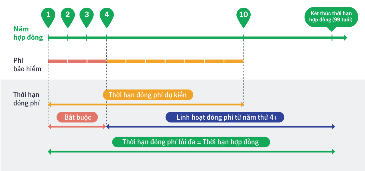 nên mua bảo hiểm nhân thọ nào